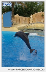 Marineland - Dauphins - Spectacle - 17h45 - 3833