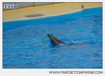 Marineland - Dauphins - Spectacle - 17h45 - 3834