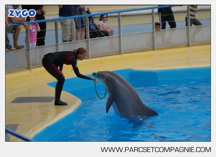 Marineland - Dauphins - Spectacle - 17h45 - 3835