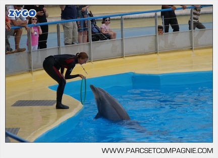 Marineland - Dauphins - Spectacle - 17h45 - 3836