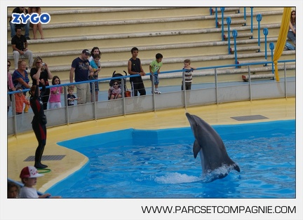 Marineland - Dauphins - Spectacle - 17h45 - 3837