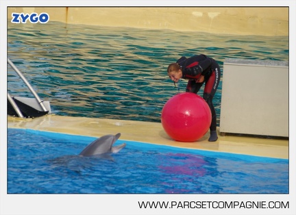 Marineland - Dauphins - Spectacle - 17h45 - 3838