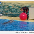 Marineland - Dauphins - Spectacle - 17h45 - 3839