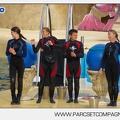 Marineland - Dauphins - Spectacle - 17h45 - 3841