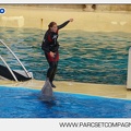 Marineland - Dauphins - Spectacle - 17h45 - 3842
