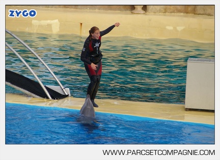 Marineland - Dauphins - Spectacle - 17h45 - 3842