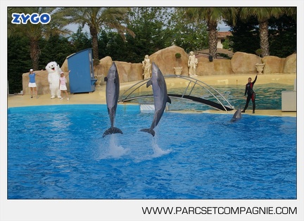 Marineland - Dauphins - Spectacle - 17h45 - 3843