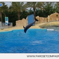 Marineland - Dauphins - Spectacle - 17h45 - 3844