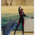 Marineland - Dauphins - Spectacle - 17h45 - 3845