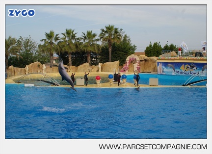 Marineland - Dauphins - Spectacle - 17h45 - 3846