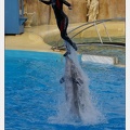 Marineland - Dauphins - Spectacle - 17h45 - 3847