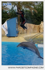 Marineland - Dauphins - Spectacle - 17h45 - 3848