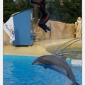 Marineland - Dauphins - Spectacle - 17h45 - 3848