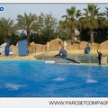 Marineland - Dauphins - Spectacle - 17h45 - 3849