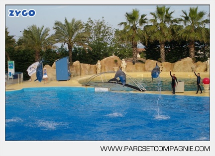Marineland - Dauphins - Spectacle - 17h45 - 3849