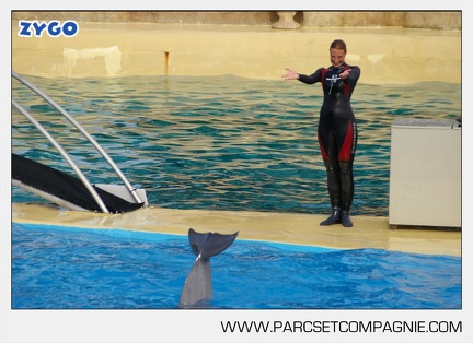 Marineland - Dauphins - Spectacle - 17h45 - 3850