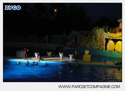 Marineland - Dauphins - Spectacle nocturne - 4436