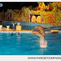 Marineland - Dauphins - Spectacle nocturne - 4437