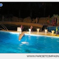 Marineland - Dauphins - Spectacle nocturne - 4438