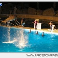 Marineland - Dauphins - Spectacle nocturne - 4439