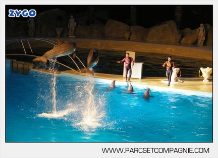 Marineland - Dauphins - Spectacle nocturne - 4439