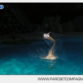 Marineland - Dauphins - Spectacle nocturne - 4440