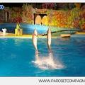 Marineland - Dauphins - Spectacle nocturne - 4441