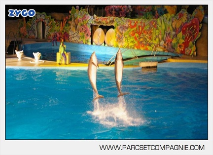 Marineland - Dauphins - Spectacle nocturne - 4441