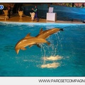 Marineland - Dauphins - Spectacle nocturne - 4447