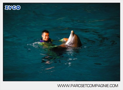 Marineland - Dauphins - Spectacle nocturne - 4450
