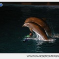 Marineland - Dauphins - Spectacle nocturne - 4455