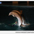 Marineland - Dauphins - Spectacle nocturne - 4456