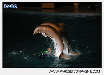 Marineland - Dauphins - Spectacle nocturne - 4456