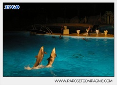 Marineland - Dauphins - Spectacle nocturne - 4464