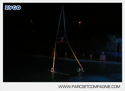 Marineland - Dauphins - Spectacle nocturne - 4480