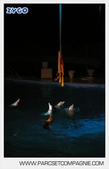 Marineland - Dauphins - Spectacle nocturne - 4482