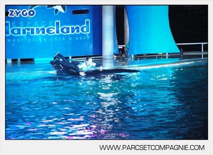 Marineland - Orques - Spectacle nocturne - 4490