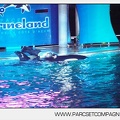 Marineland - Orques - Spectacle nocturne - 4491