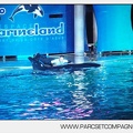 Marineland - Orques - Spectacle nocturne - 4493