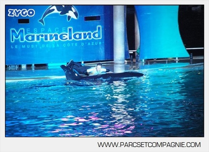 Marineland - Orques - Spectacle nocturne - 4493