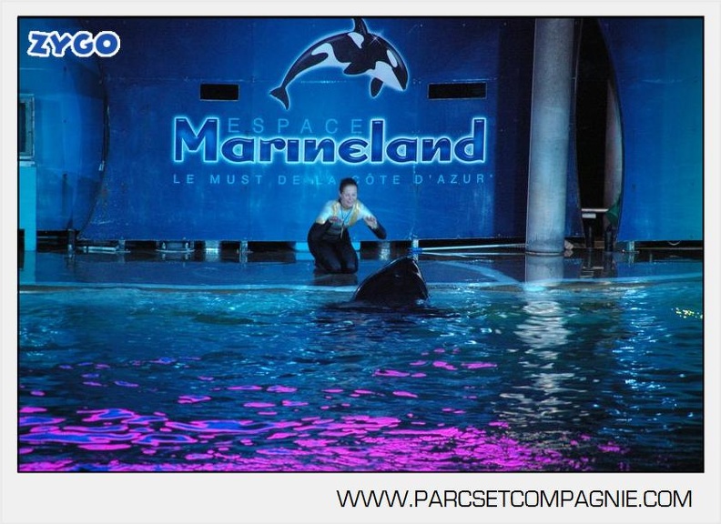 Marineland_-_Orques_-_Spectacle_nocturne_-_4495.jpg
