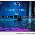 Marineland - Orques - Spectacle nocturne - 4495