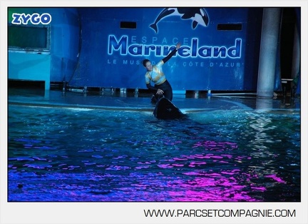 Marineland - Orques - Spectacle nocturne - 4497