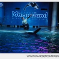 Marineland - Orques - Spectacle nocturne - 4498