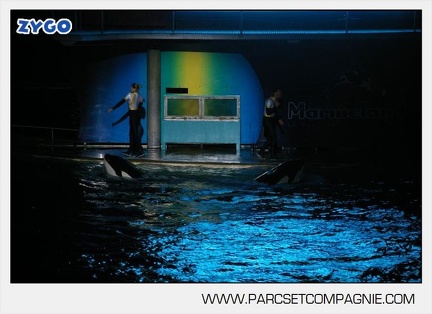 Marineland - Orques - Spectacle nocturne - 4502