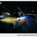 Marineland - Orques - Spectacle nocturne - 4505