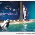Marineland - Orques - Spectacle - 4585