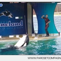 Marineland - Orques - Spectacle - 4586