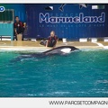 Marineland - Orques - Spectacle - 4591
