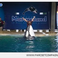 Marineland - Orques - Spectacle - 4594